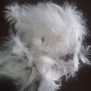 2-4 Pure White Duck Feather Washing with Water