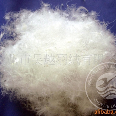 80% Detergent White Duck Down